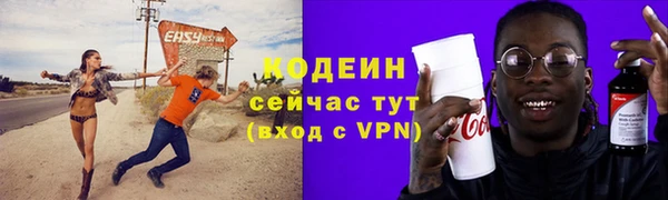 дмт Вяземский