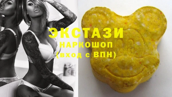 стаф Аркадак